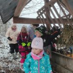 phoca_thumb_m_zajci a zvtka 20 Fotogalerie
